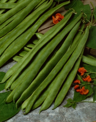 Picture of Runner Bean Lady Di